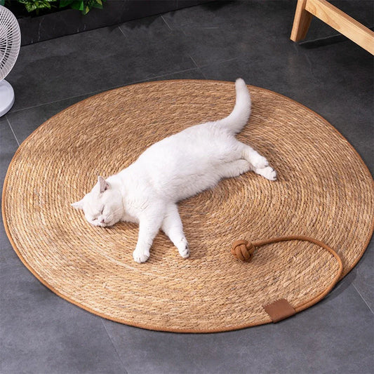 Cat Scratcher Mat