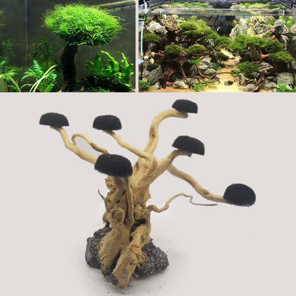 Multi Headed Dead Wood Tree- Fish Tank Decoration