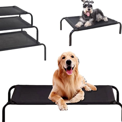 Elevated Dog Bed