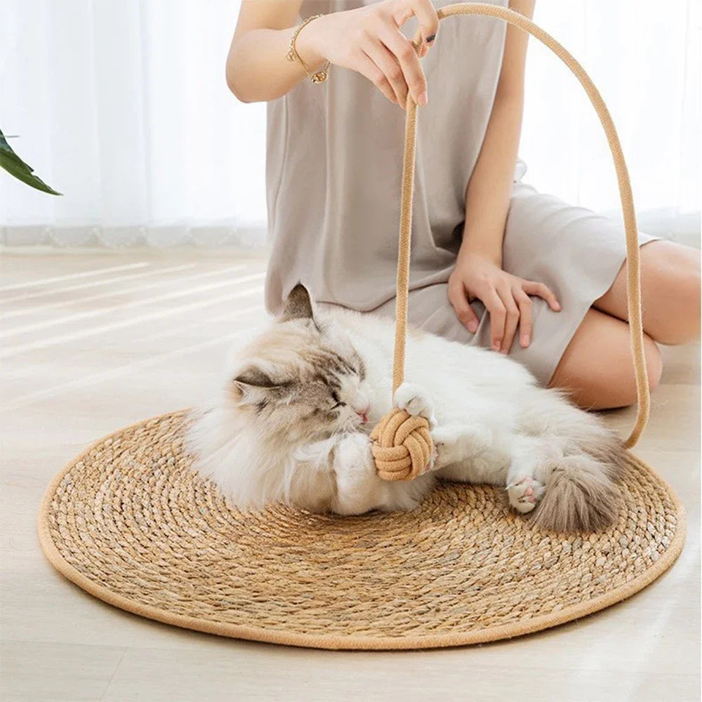 Cat Scratcher Mat