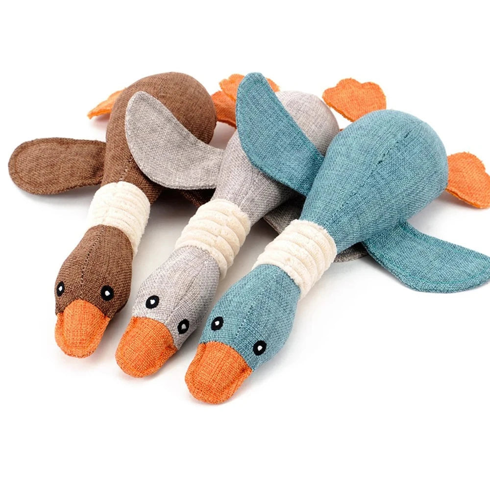 Squeaking duck- dog toy