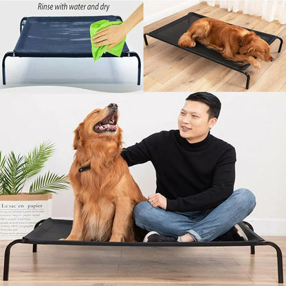 Elevated Dog Bed