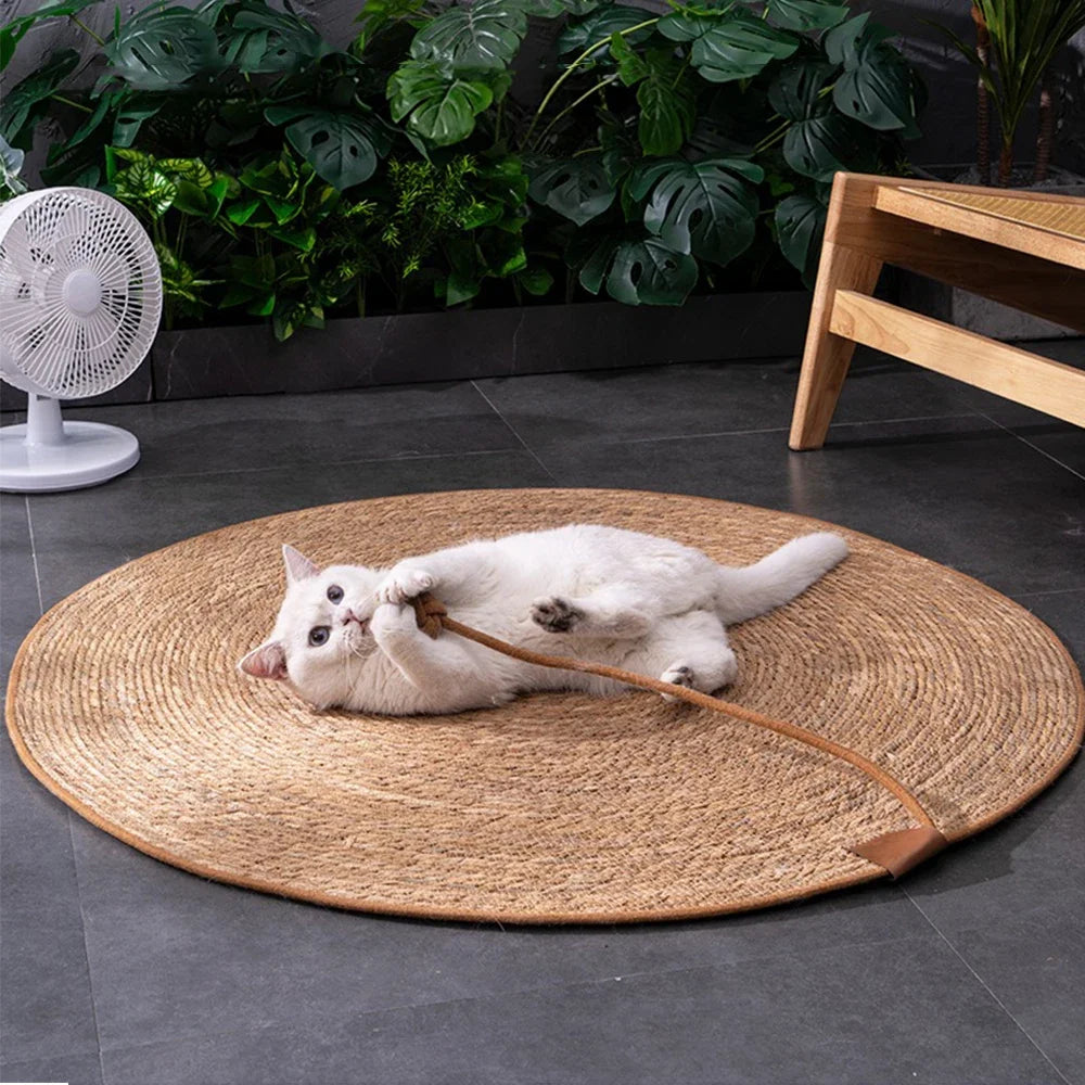 Cat Scratcher Mat