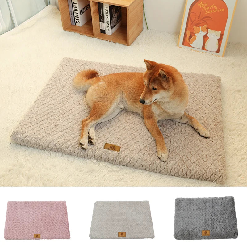 Memory Foam Pet Bed