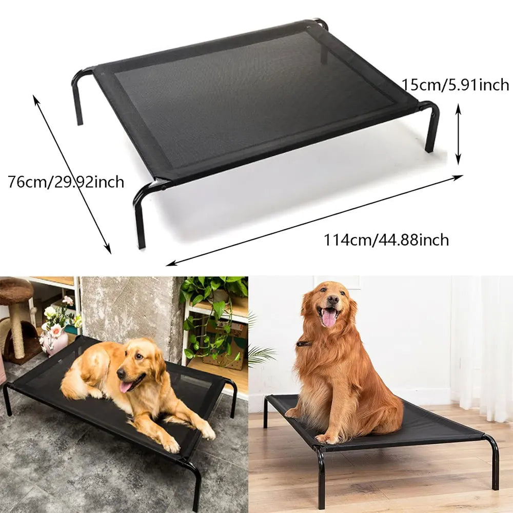 Elevated Dog Bed