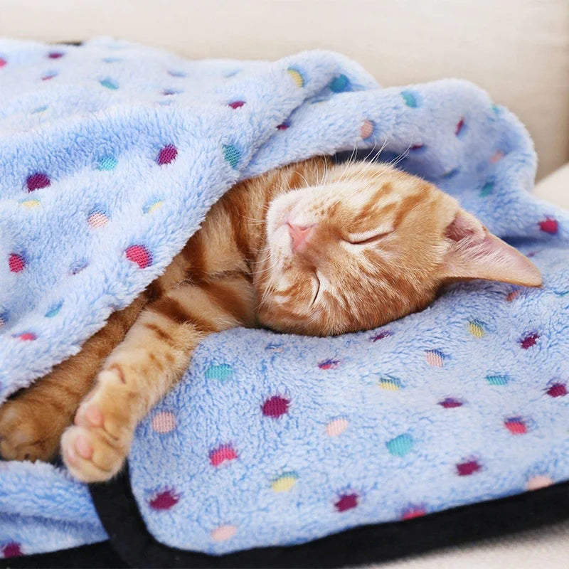 Pet Blanket