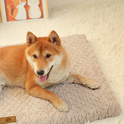 Memory Foam Pet Bed