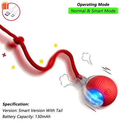 Interactive Smart Ball