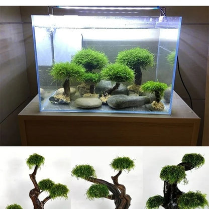 Multi Headed Dead Wood Tree- Fish Tank Decoration