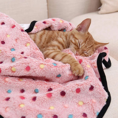 Pet Blanket